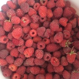 Balans och att fylla på med näring